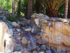 Water Feature